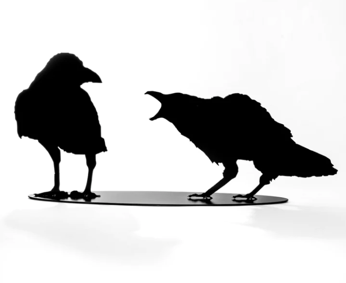 Squacking Ravens Anvil Island Design