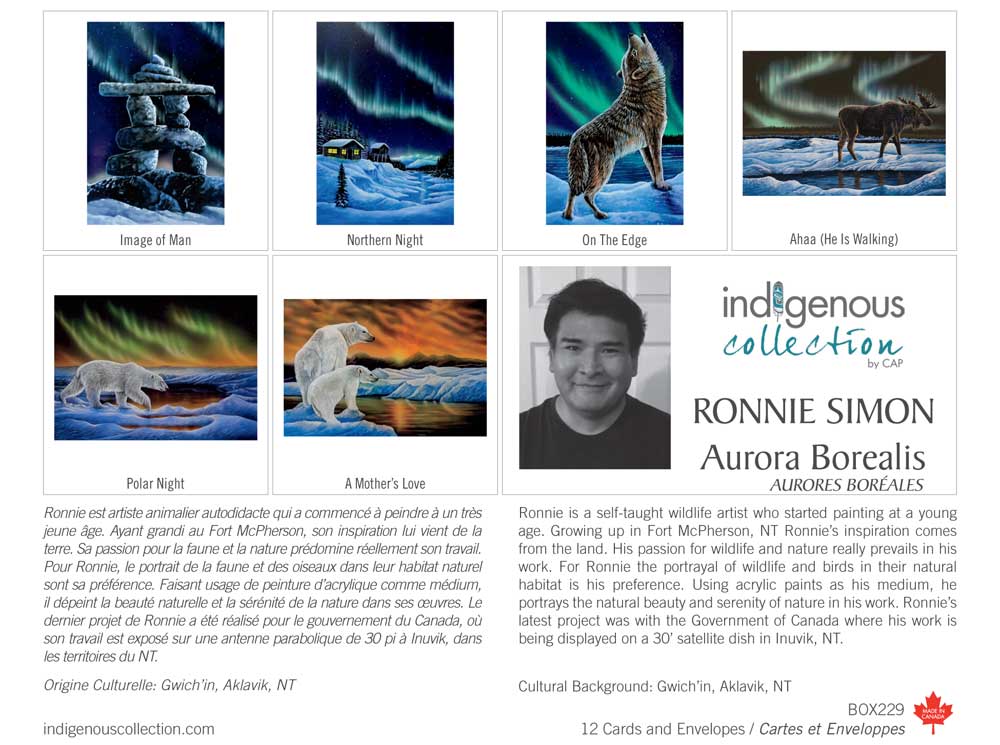 Aurora Borealis Boxed Cards North End Gallery