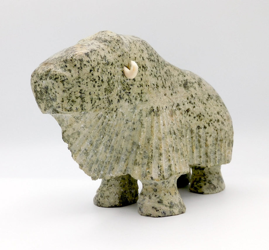 Muskoxen – North End Gallery